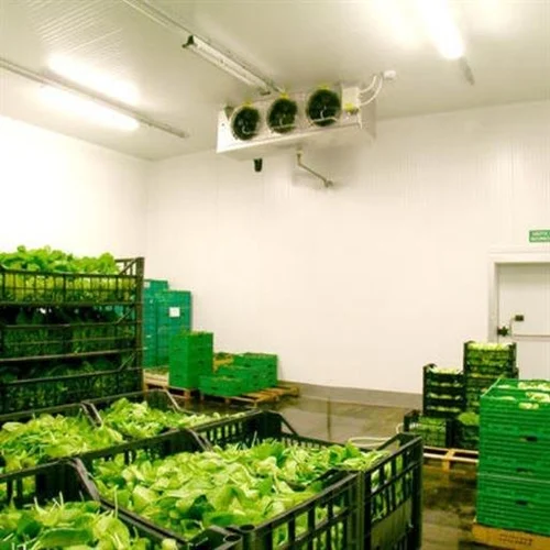Cold Storage